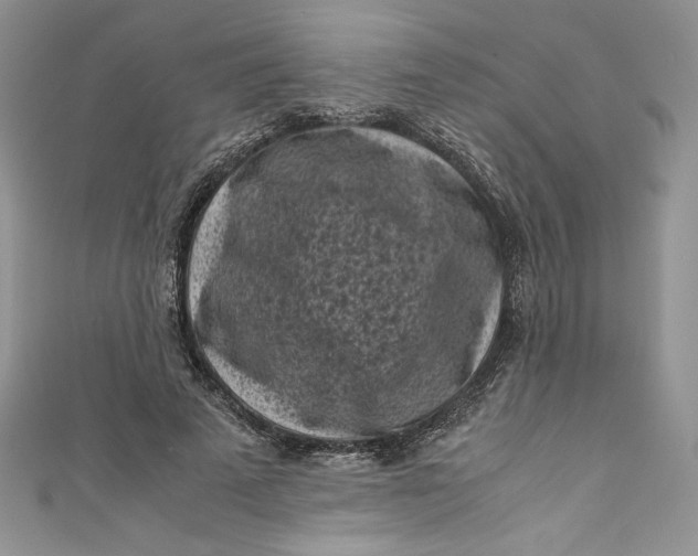 X0000111010689200907060956