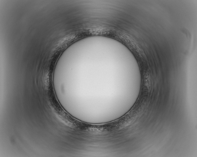 X0000111010690200907060956