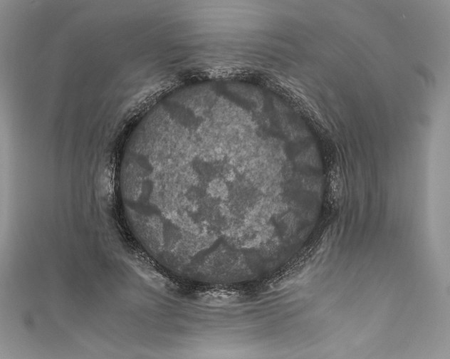 X0000111010691200907060955