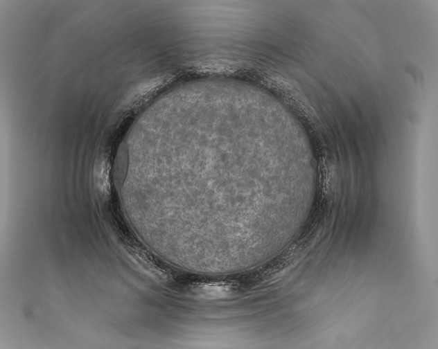 X0000111010692200907060955