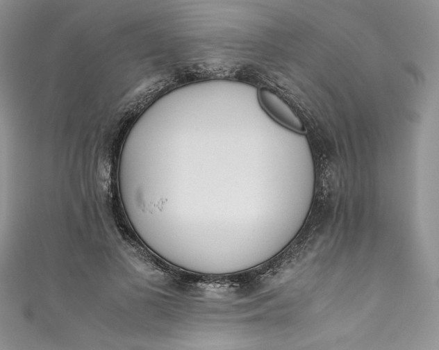 X0000111010693200907060955