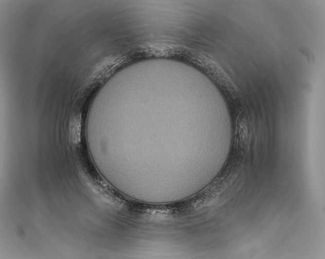 X0000111010694200907060955
