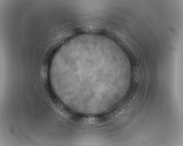 X0000111010695200907060955