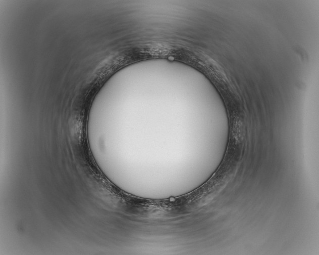 X0000111010697200907060955