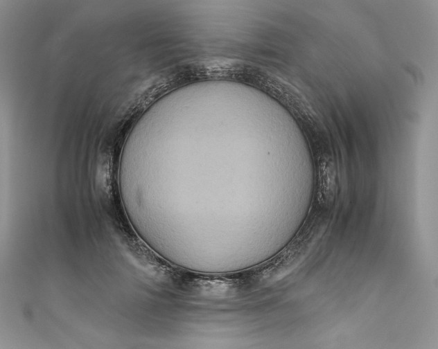 X0000111010698200907060955