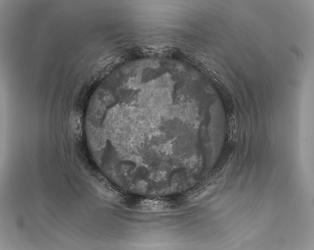X0000111010699200907060955
