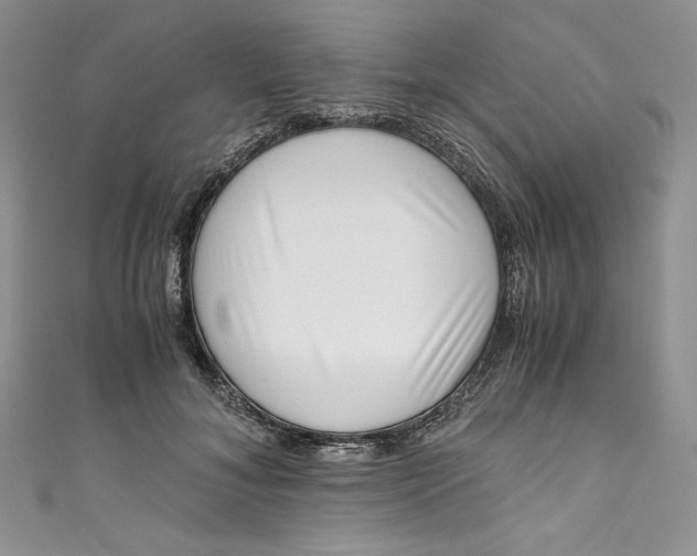 X0000111010700200907060955