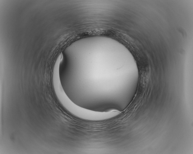 X0000111010701200907060955