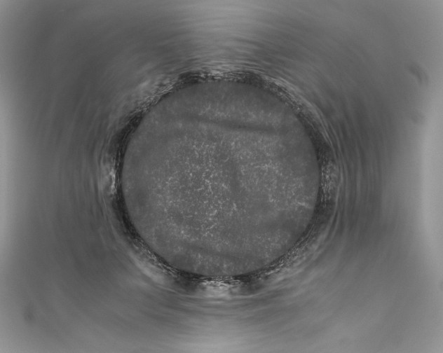 X0000111010703200907060955