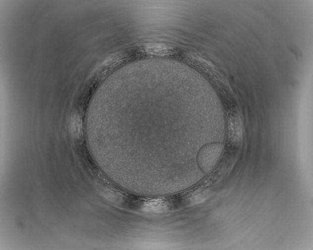 X0000111010705200907060955