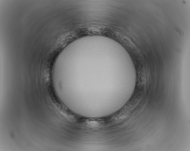 X0000111010706200907060955