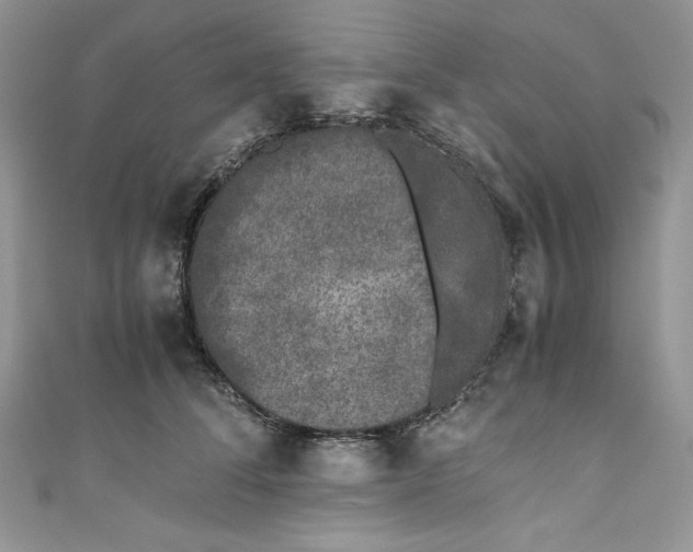 X0000111010708200907060955