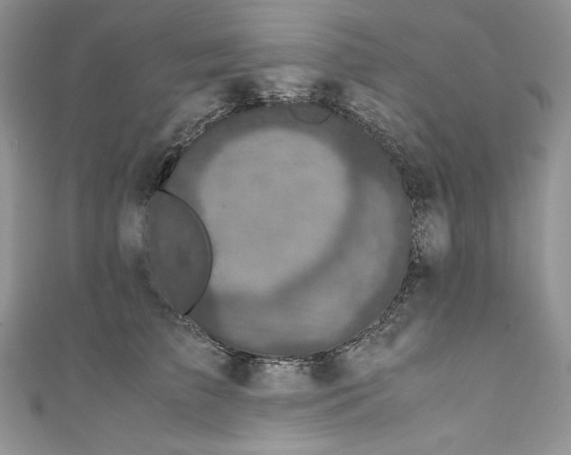 X0000111010709200907060955