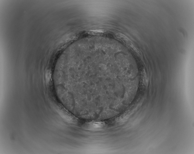 X0000111010711200907060955