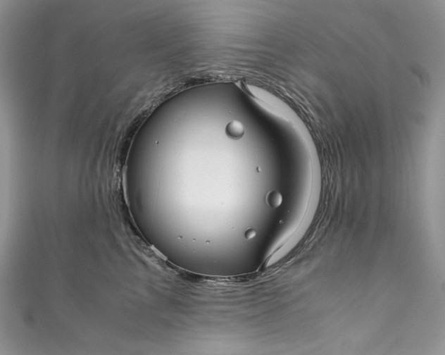 X0000111010713200907060955
