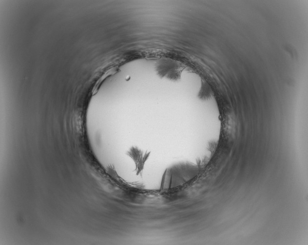 X0000111010715200907060955
