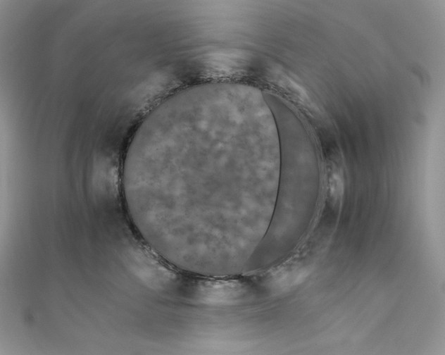 X0000111010716200907060955