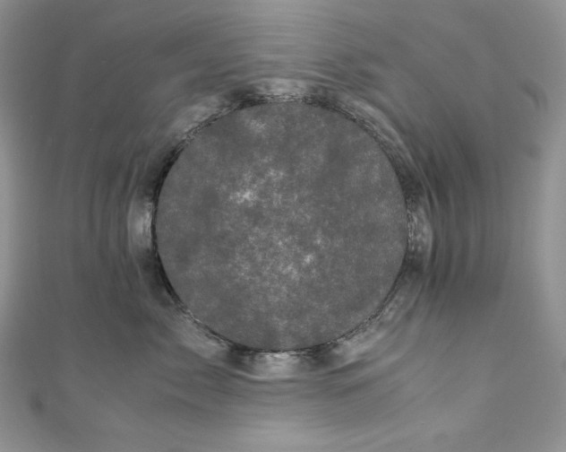 X0000111010717200907060955