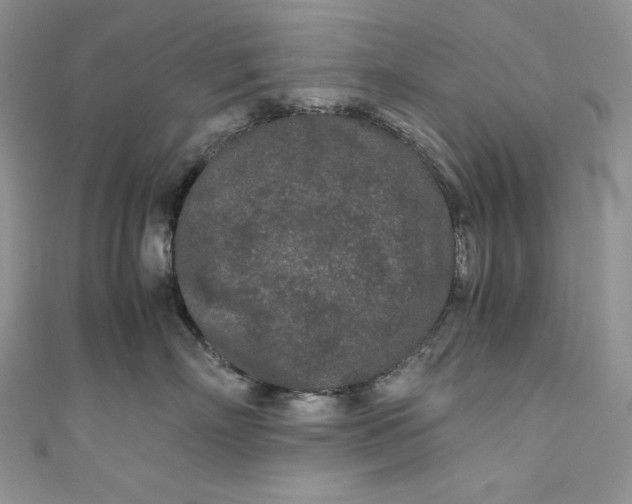 X0000111010718200907060955
