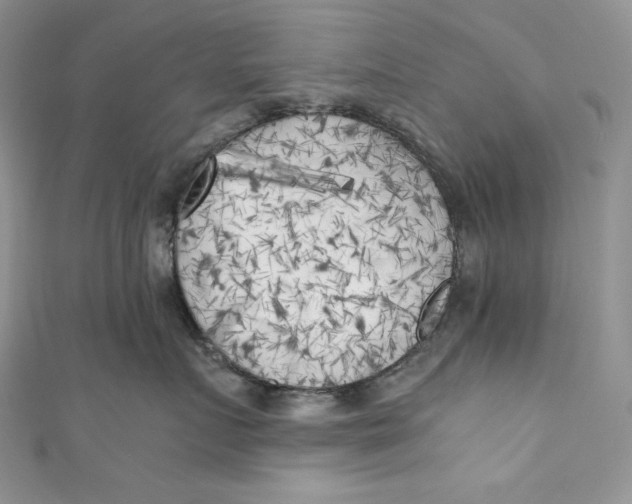 X0000111010719200907060955