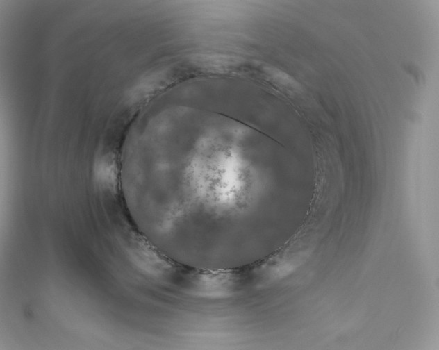X0000111010720200907060955