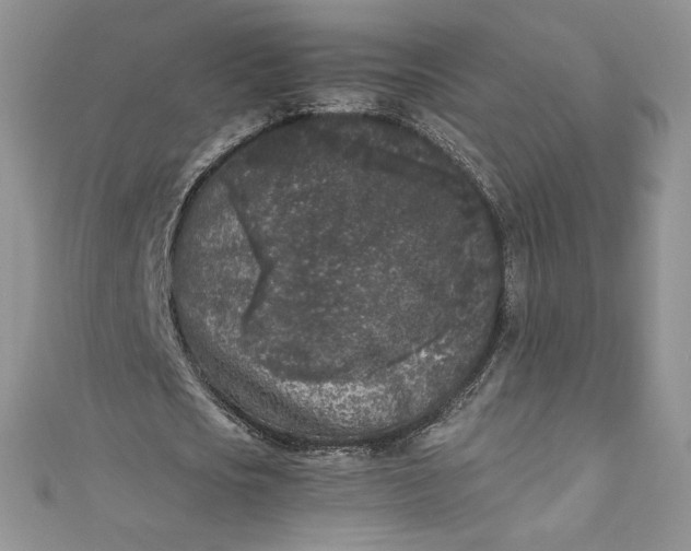 X0000111010721200907060955