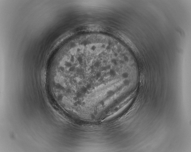 X0000111010722200907060955