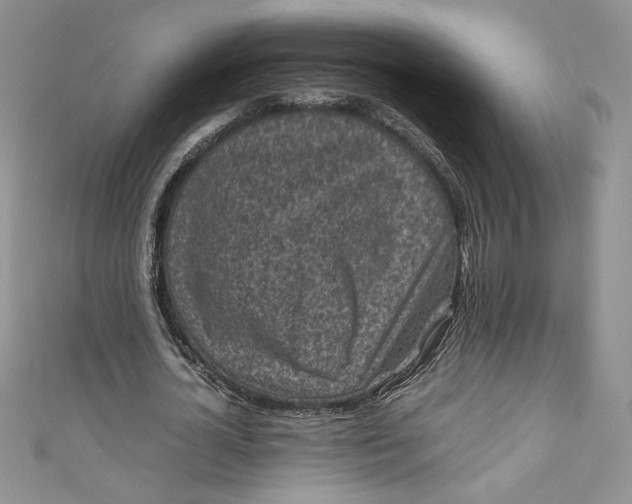 X0000111010724200907060955