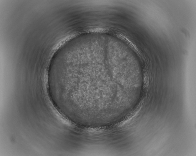 X0000111010725200907060955