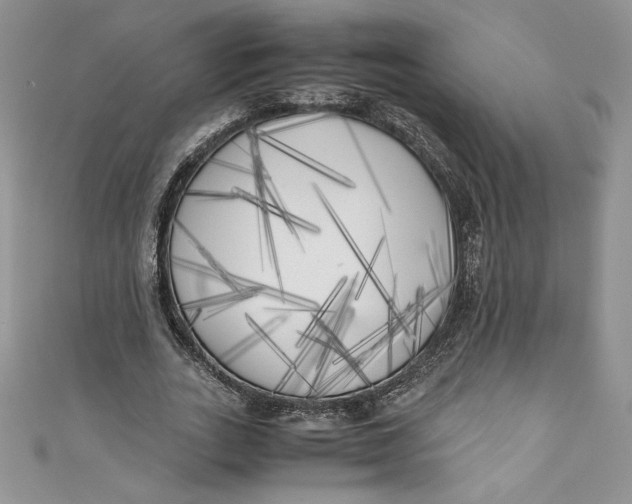 X0000111010727200907060955