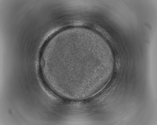 X0000111010728200907060955