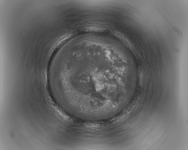 X0000111010729200907060955