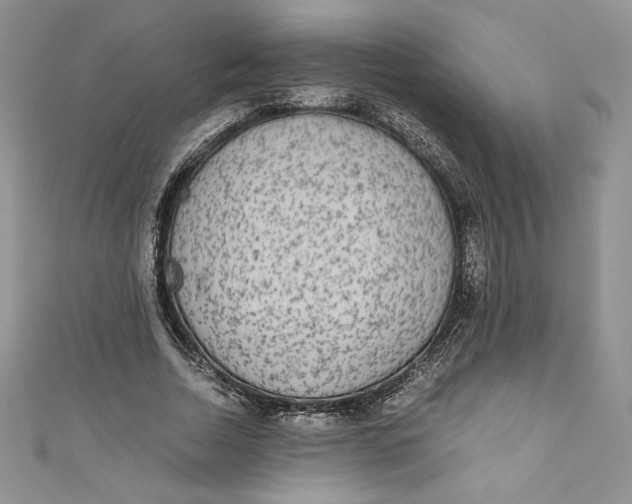 X0000111010730200907060955