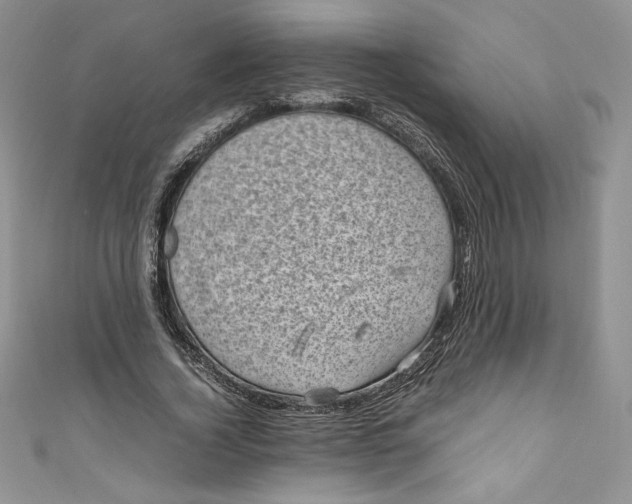 X0000111010732200907060955