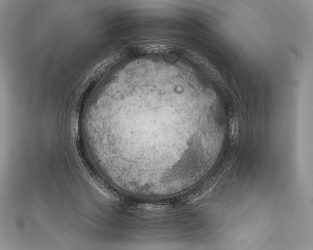 X0000111010733200907060955
