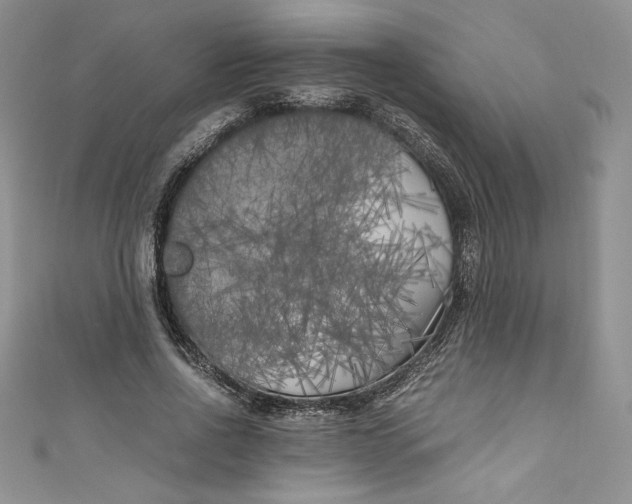 X0000111010734200907060955