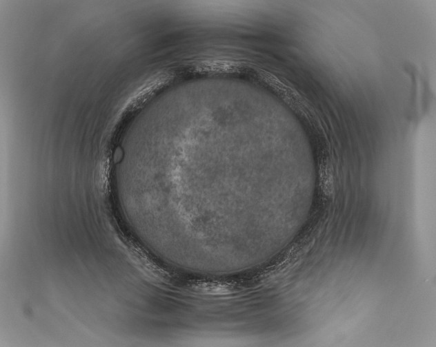 X0000111010735200907060955