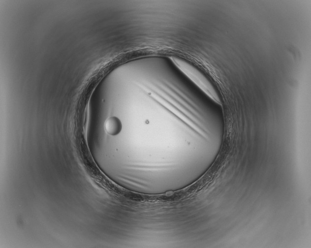 X0000111010736200907060955