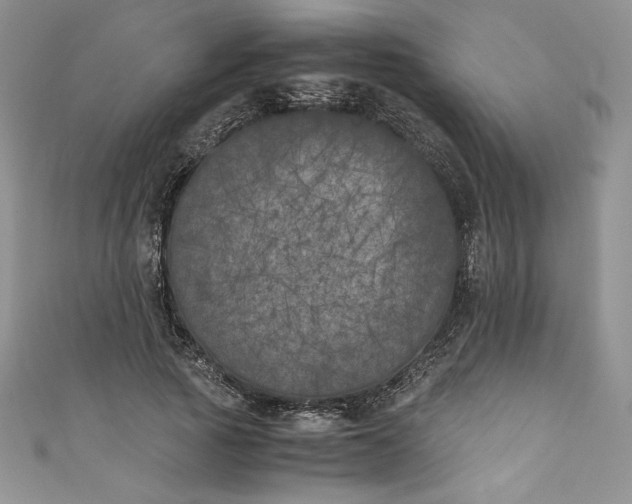 X0000111010737200907060955