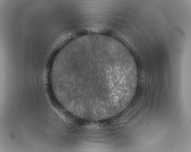 X0000111010738200907060955