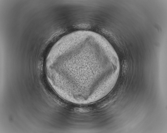 X0000111010739200907060955