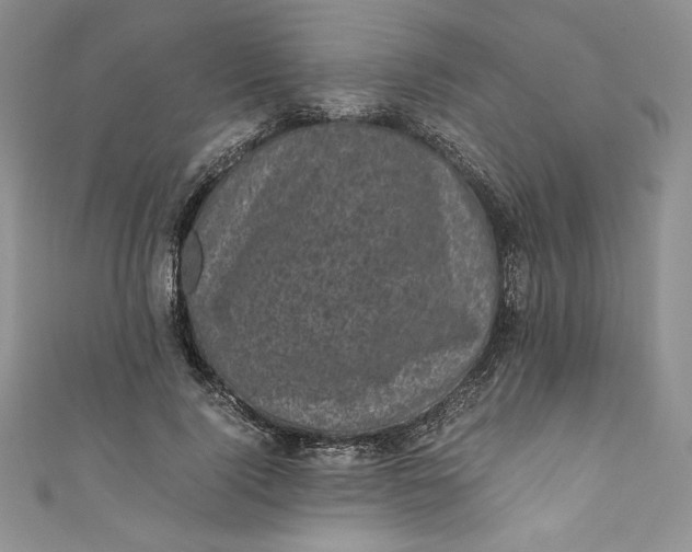X0000111010740200907060955