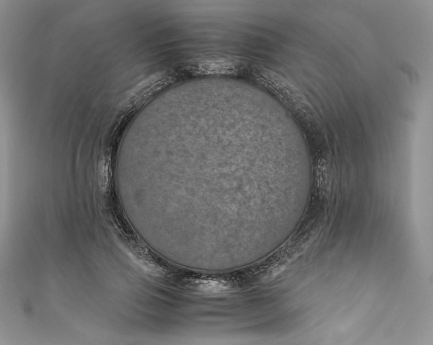 X0000111010741200907060955