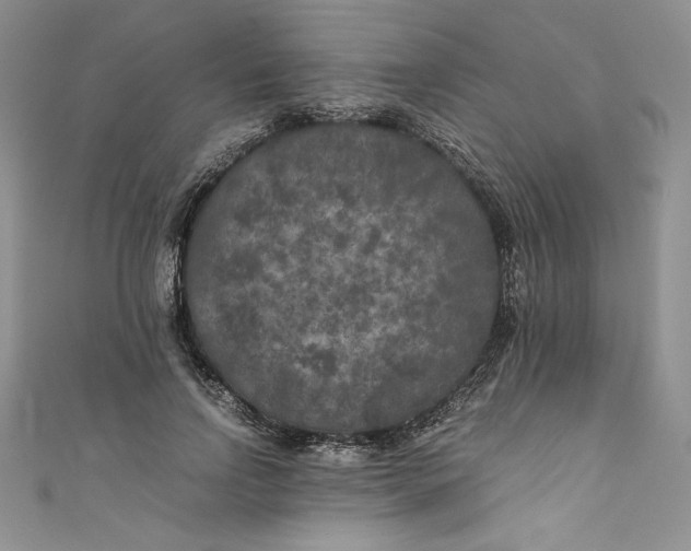X0000111010742200907060955