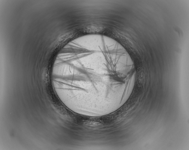 X0000111010743200907060955