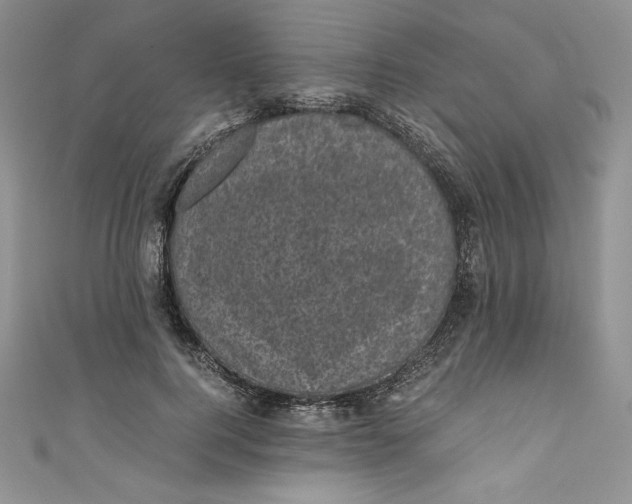 X0000111010744200907060955