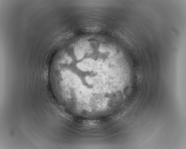 X0000111010745200907060955