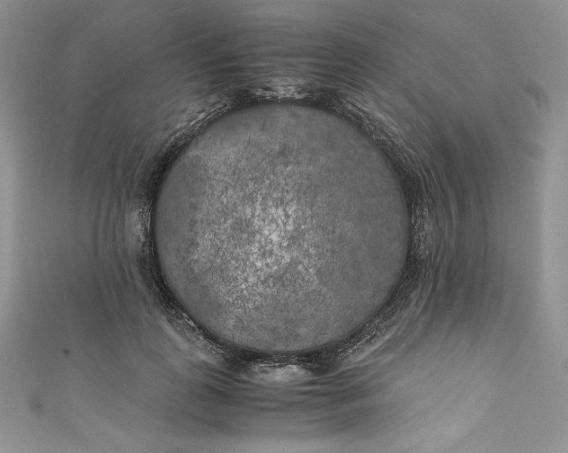 X0000111010747200907060955
