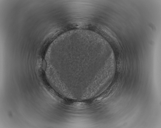 X0000111010748200907060955