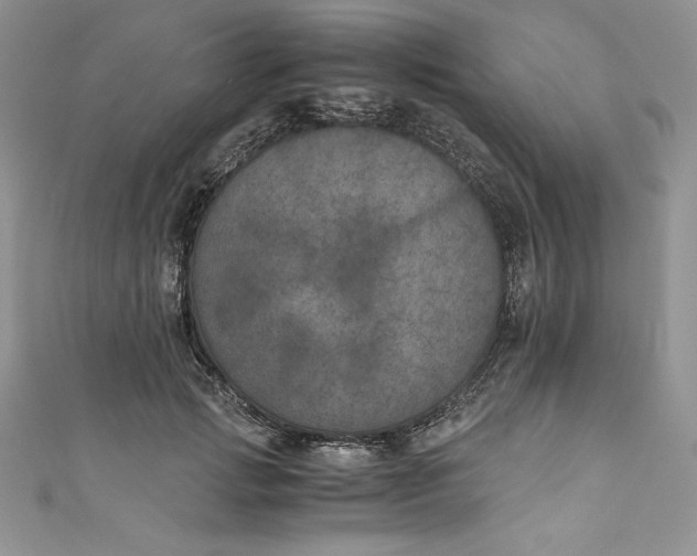 X0000111010749200907060955